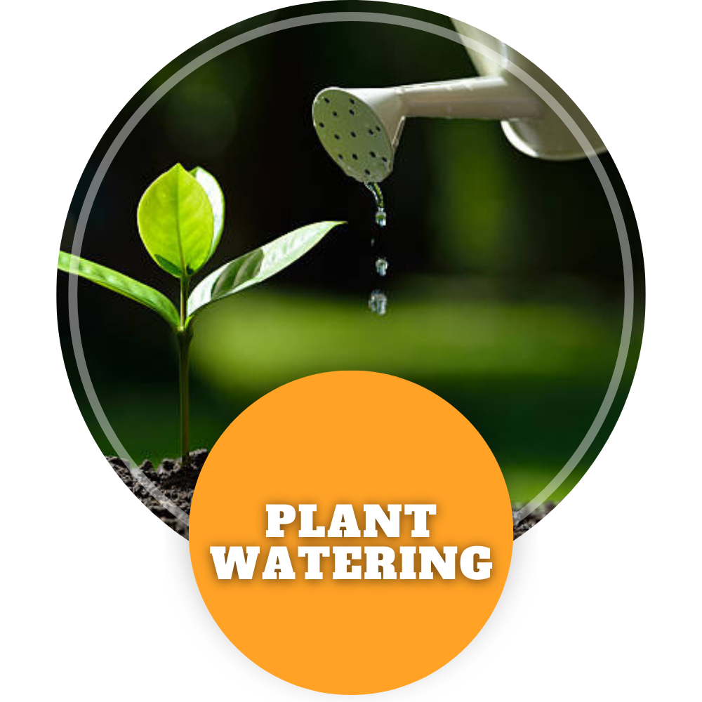 Plant Watering