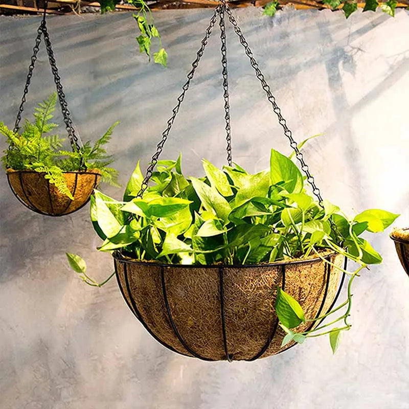 Hanging Planter Basket Flower Pot