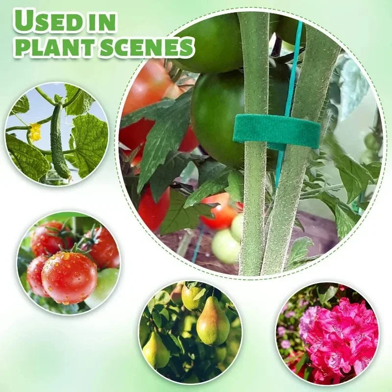 Plant Ties for Climbing Plants