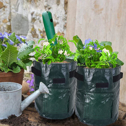 Vegetable Growing Bag