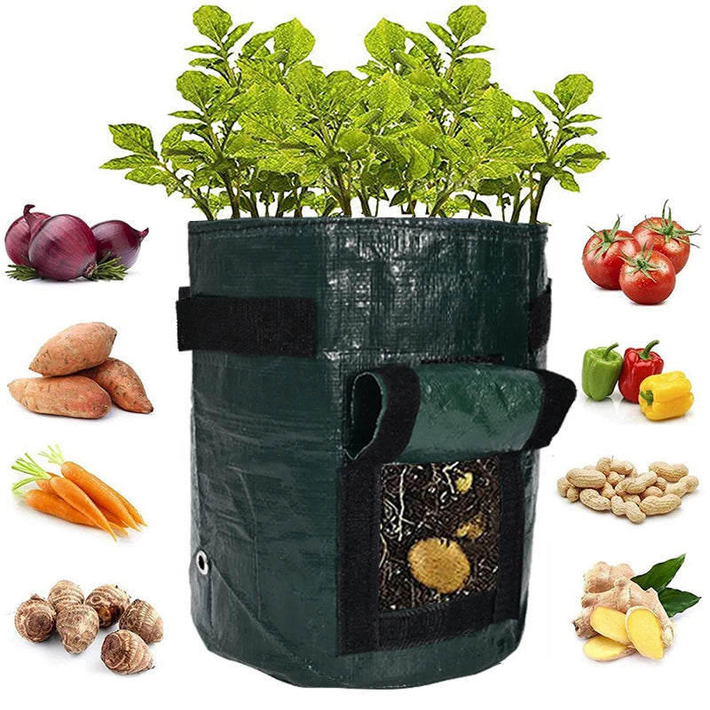 Vegetable Growing Bag