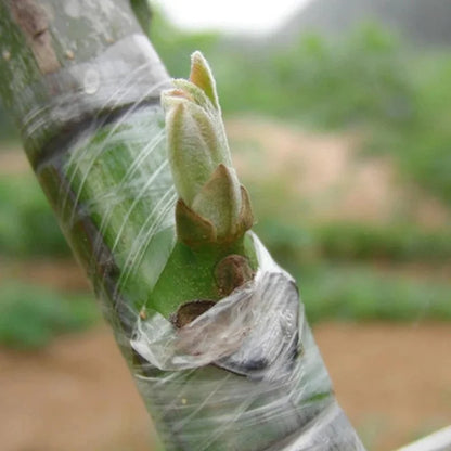 Eco-friendly PE Grafting Tape