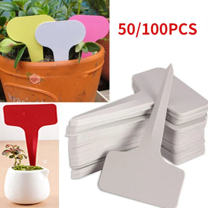 Plastic PVC Plant T-type Tags