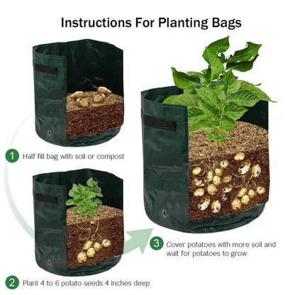 Vegetable Growing Bag