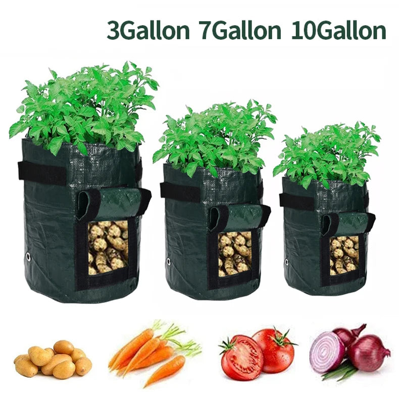 Vegetable Growing Bag