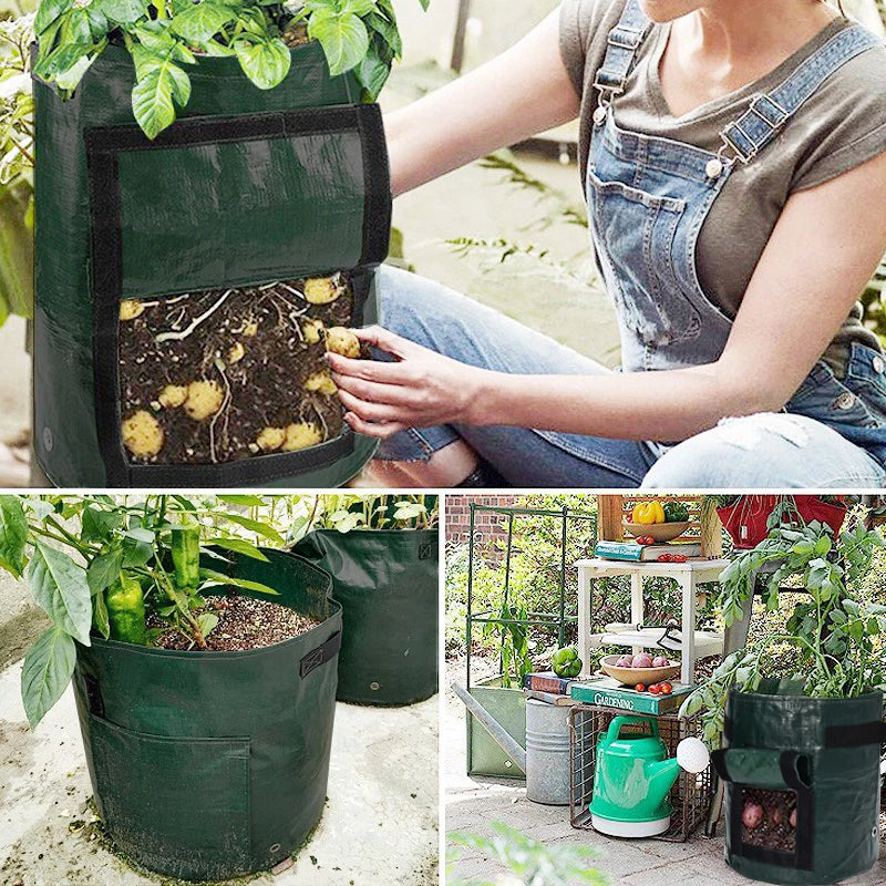 Vegetable Growing Bag