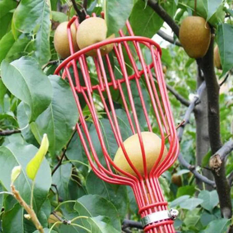 Fruit Picker Tool