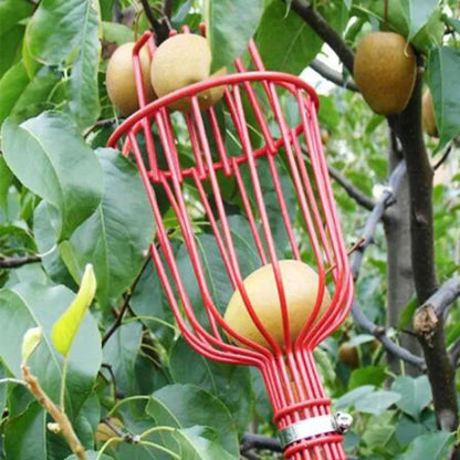 Fruit Picker Tool