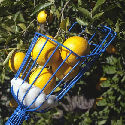 Fruit Picker Tool