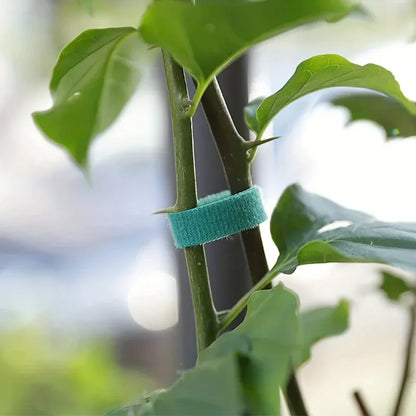 Plant Ties for Climbing Plants